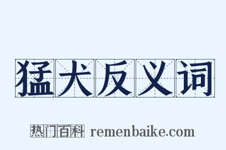 猛犬反义词是什么意思的图片